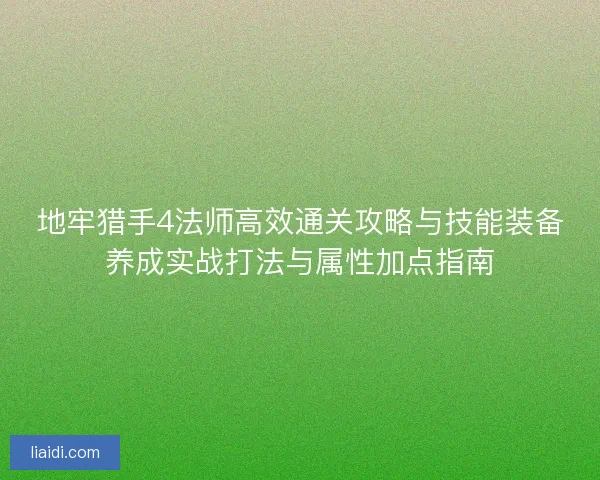 地牢猎手4法师高效通关攻略与技能装备养成实战打法与属性加点指南