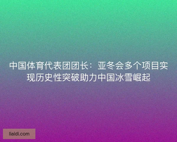中国体育代表团团长：亚冬会多个项目实现历史性突破助力中国冰雪崛起